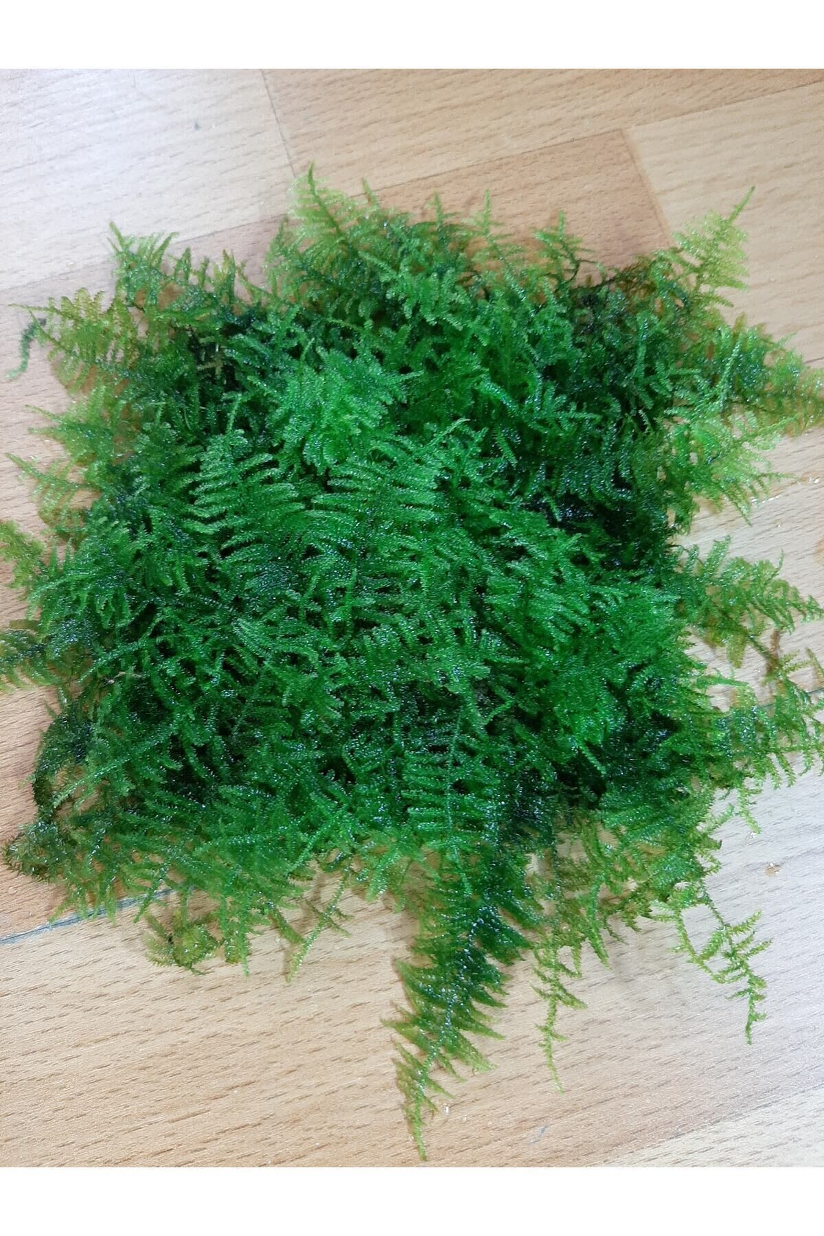 Christmas Moss Tele Sarılı 5x5Cm Yeni Sarım