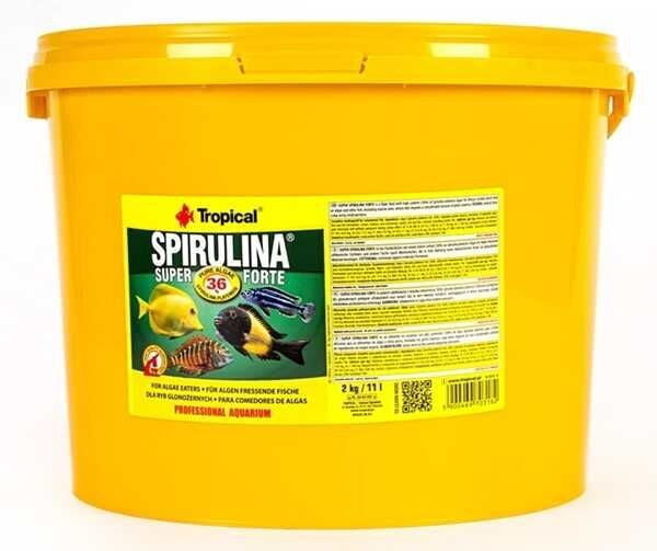 Tropical Super Spirulina Forte Pul Yem  Kovadan Bölme