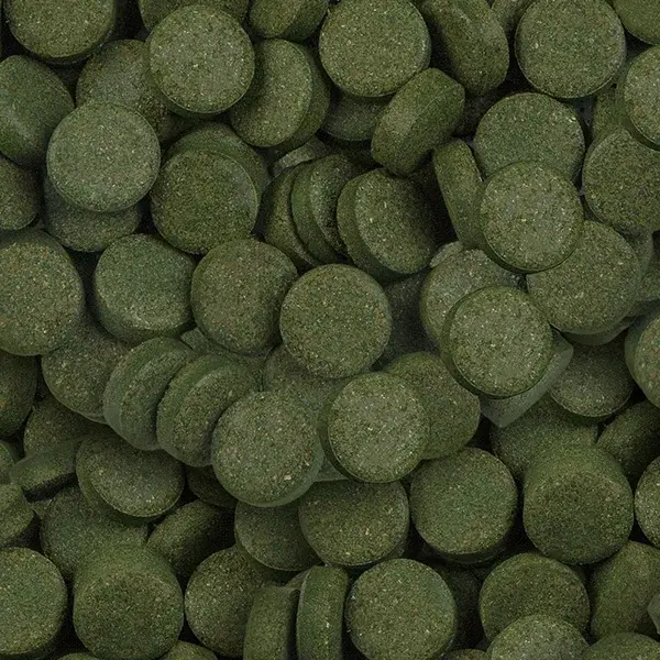 Sera Spirulina Tabs  Kovadan Bölme